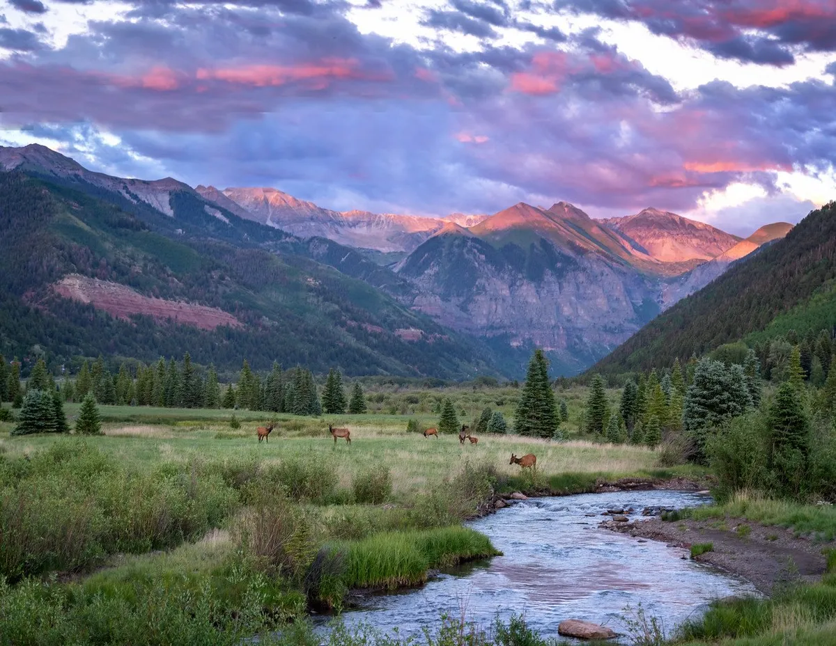 A wide landscape view featuring a mountain range, a gently flowing stream, deer grazing by the water, and a dramatic cloudscape. The image showcases the abundant wildlife and the soothing natural environment that surrounds Telluride.